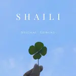 Shaili (शैली)